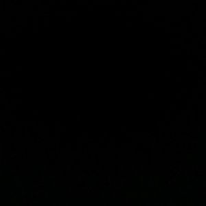 Meet your Posher, Jessie